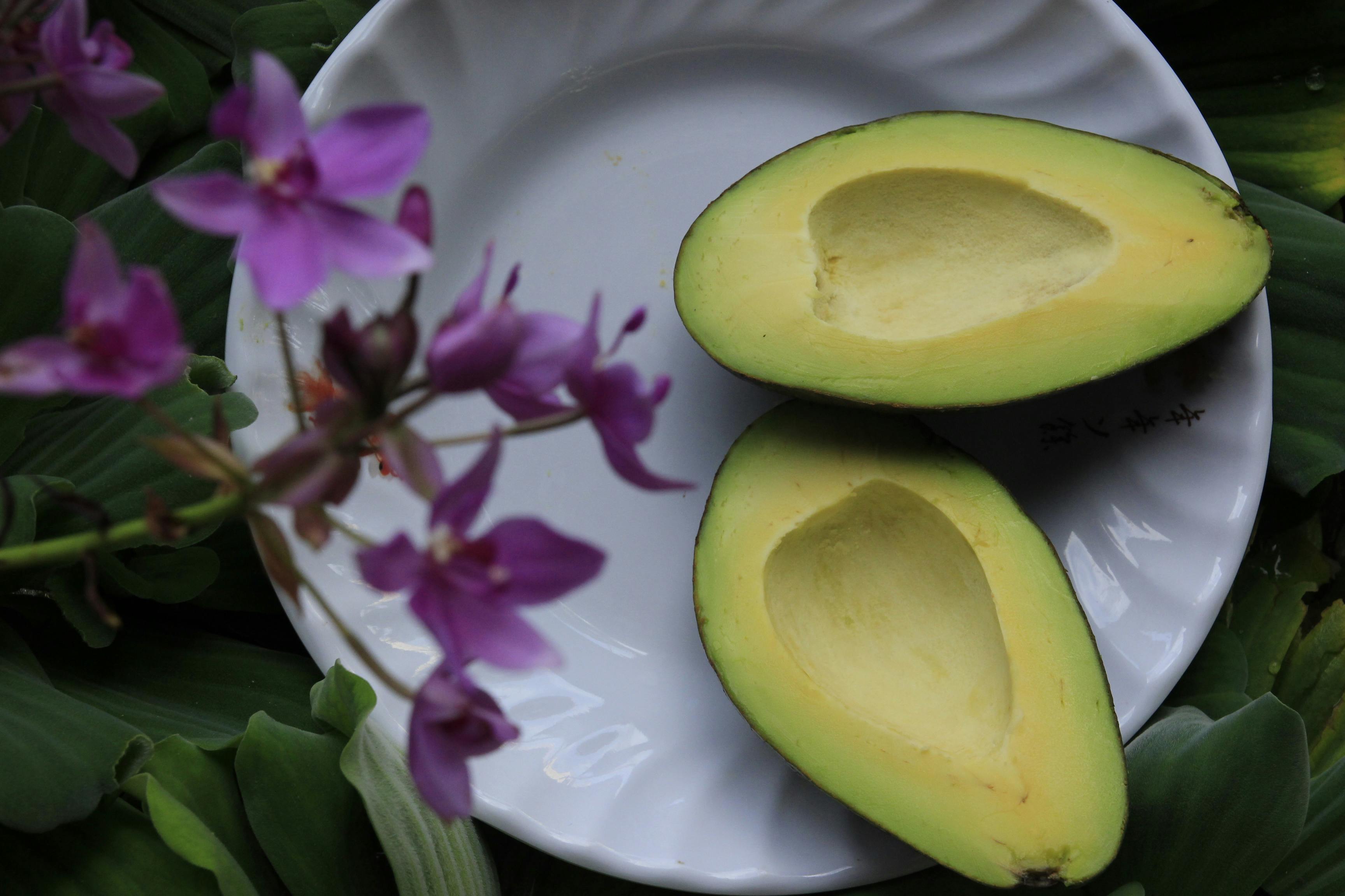 Personalized nutrition coaching at your own pace